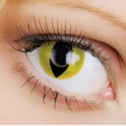 Линзы контактные карнавальные Fusion Crazy Yellow cat (Кошачий глаз желтый)