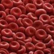 Анализы крови фото