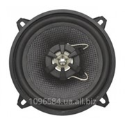 Акустика Celsior CS-5 C фото