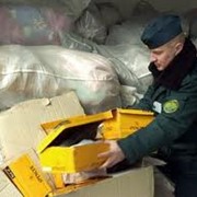 Таможенная очистка фото