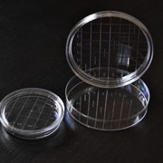Чашка Петри 55 мм ПС, контактного типа, стерильные, с сеткой (10/600), Италия, Aptaca фото