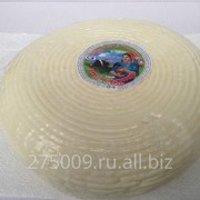 Сыр Адыгейский в круге 1,8 кг фото