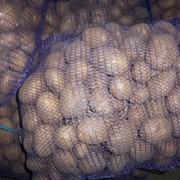 Картофель продовольственный и семенной фото