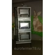 Клетка для кроликов 1-3 с маточником и увеличенными поддонами ЕвроФермер78 фотография