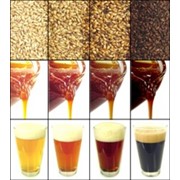 Концентрат пшеничного солода светлый сброженный- Пшеничный фото