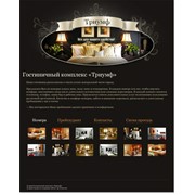 Разработка дизайна сайта для Гостиничного комплекса Триумф фото