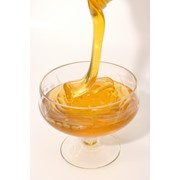 Технические условия мёд искуственный ТУ 9163-066-2013 фото