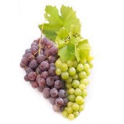 Крымский виноград с виноградника столовые и технические сорта.