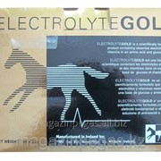 Кормовая добавка Electrolyte Gold. арт. 06765 фото