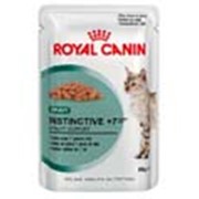 Корм для котов Royal Canin Ageing +12 In Gravy фотография