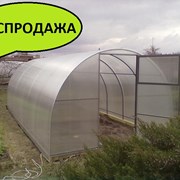 Теплица Надежная 10 м из цельной оцинкованной трубы 20*20 фото