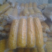 Замороженная сахарная супер сладкая кукуруза в початках - в вакуумной упаковке фото