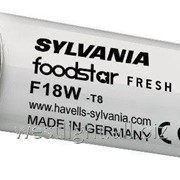 Sylvania F36W Foodstar Fresh, лампа продуктов питания, фруктов,овощей, соков фото