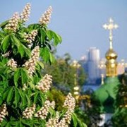 Экскурсии по Украине