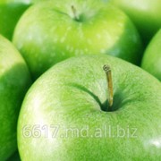Яблоки зеленые фото
