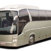 Автобус междугородный МАЗ-251