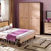 Мебель для спальни Дрезден фотография