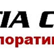 Переводы документов на иностранные языки и нотариальное заверение документов. Апостиль и легализация документов в МИДе, МинЮсте, Министерстве Образования. фото