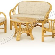 Кресло с подушкой Calamus Rotan 0128 B фотография