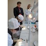 Подготовка специалистов на стоматологическом факультете фото