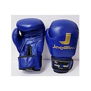 Перчатки боксерские Jagged Ether кожа (14oz)
