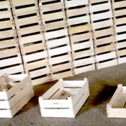Ящики деревянные из шпона на экспорт фото