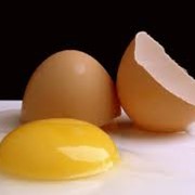 Яйцо, Домашнее куриное яйцо, Яйца куриные, Домашние яйца, Экологические яйца, Экол