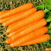 Семена Моркови Романс F1 (1,6-1,8мм) 100 000 семян