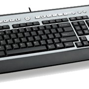 Клавиатуры @LUXL KL-5201T Black+Silver, USB+PS/2, Volume Knob +19 MultimediaHot фото