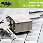 Регистрация SSL-сертификатов фото