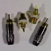Коннектор для кабелей С-8.0: RCA- ( Тюльпан) фото