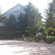 Реабилитационные медицинские услуги фото