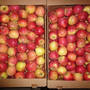 Яблоки сорта "Гала" фрукты продукты питания