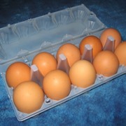 Пластиковая упаковка для яиц на 10 штук