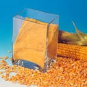 Глютен кукурузный фото