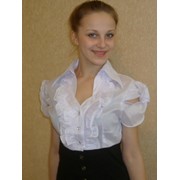 Блузы с коротким рукавом фото