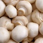 Консервы грибные
