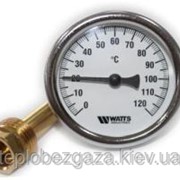 Термометр осевой WATTS F+R801 (Т 63/50 D-63mm 0-120°C L-50mm)