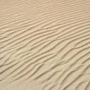 Карьерный песок мелкозернистый фото