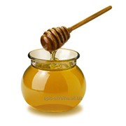 Мёд акациевый фото