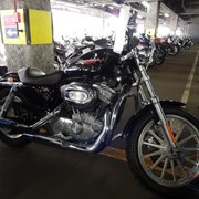 Мотоцикл чоппер No. B5431 Harley Davidson XL883 фото