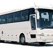 Автобус рекомендуется для международных перевозок Safir