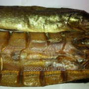 Щука Х/к пласт бабочка фото