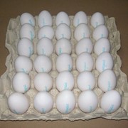 Яйцо не фасованное С-1 белое фотография