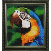 Схемы для вышивания бисером Попугай фотография