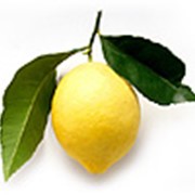 Лимон (Lemon