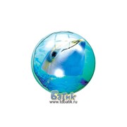 Мяч Дельфин 22см фотография