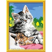 Картина по номерам Забавные котята фотография