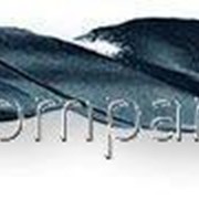 Сверла по металлу ТМ Berner STANDART, артикул 8344 фото