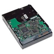 Жесткий диск HDD 1 Tb SATA HP GE262AA HDD SATA-II, опт фото